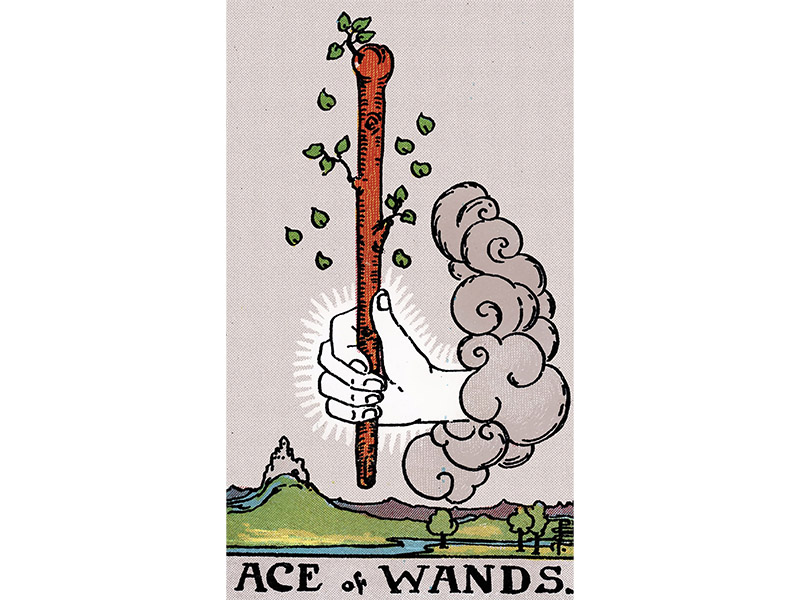 Ace of Wands